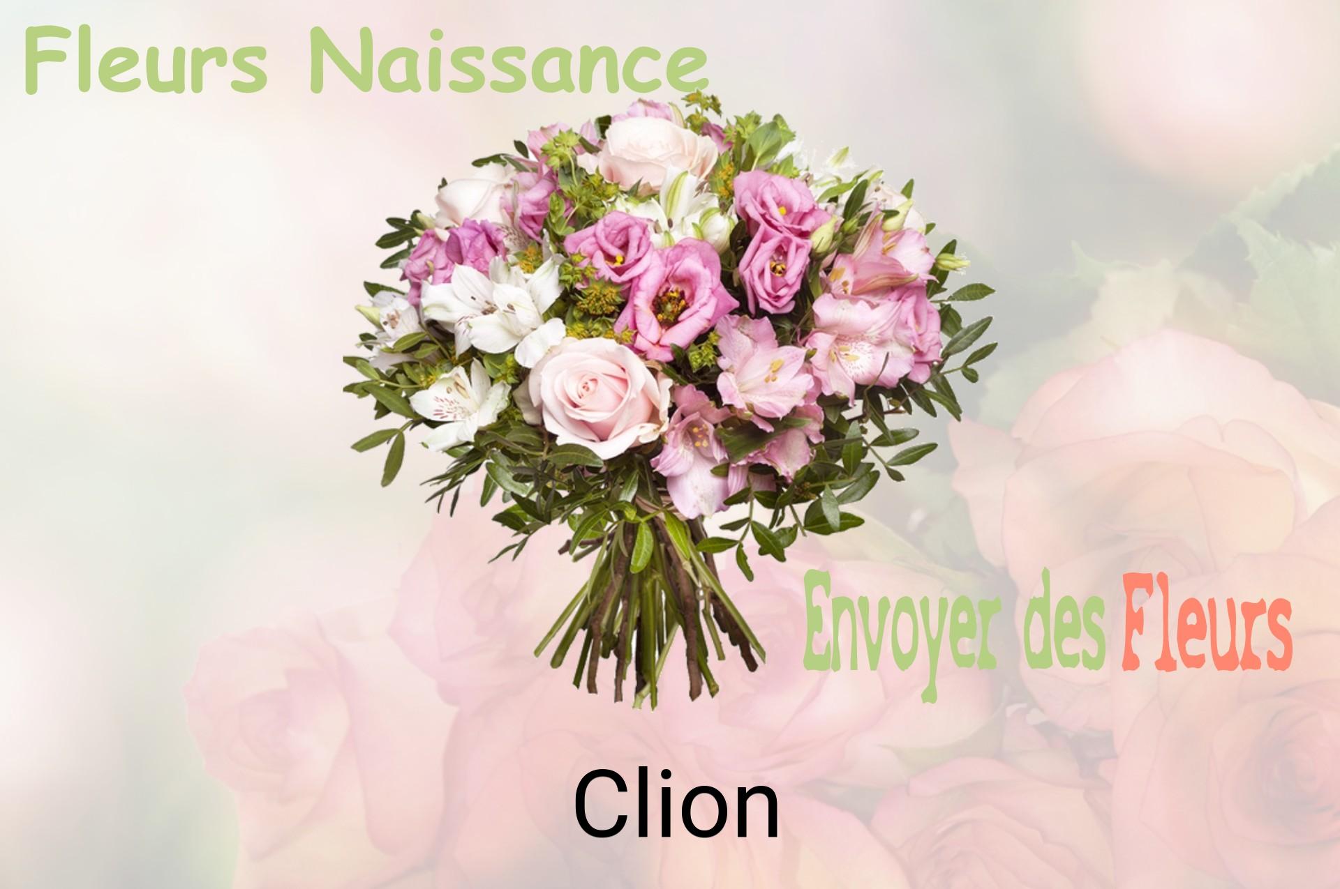 Bouquet de fleurs de naissance livré à Clion