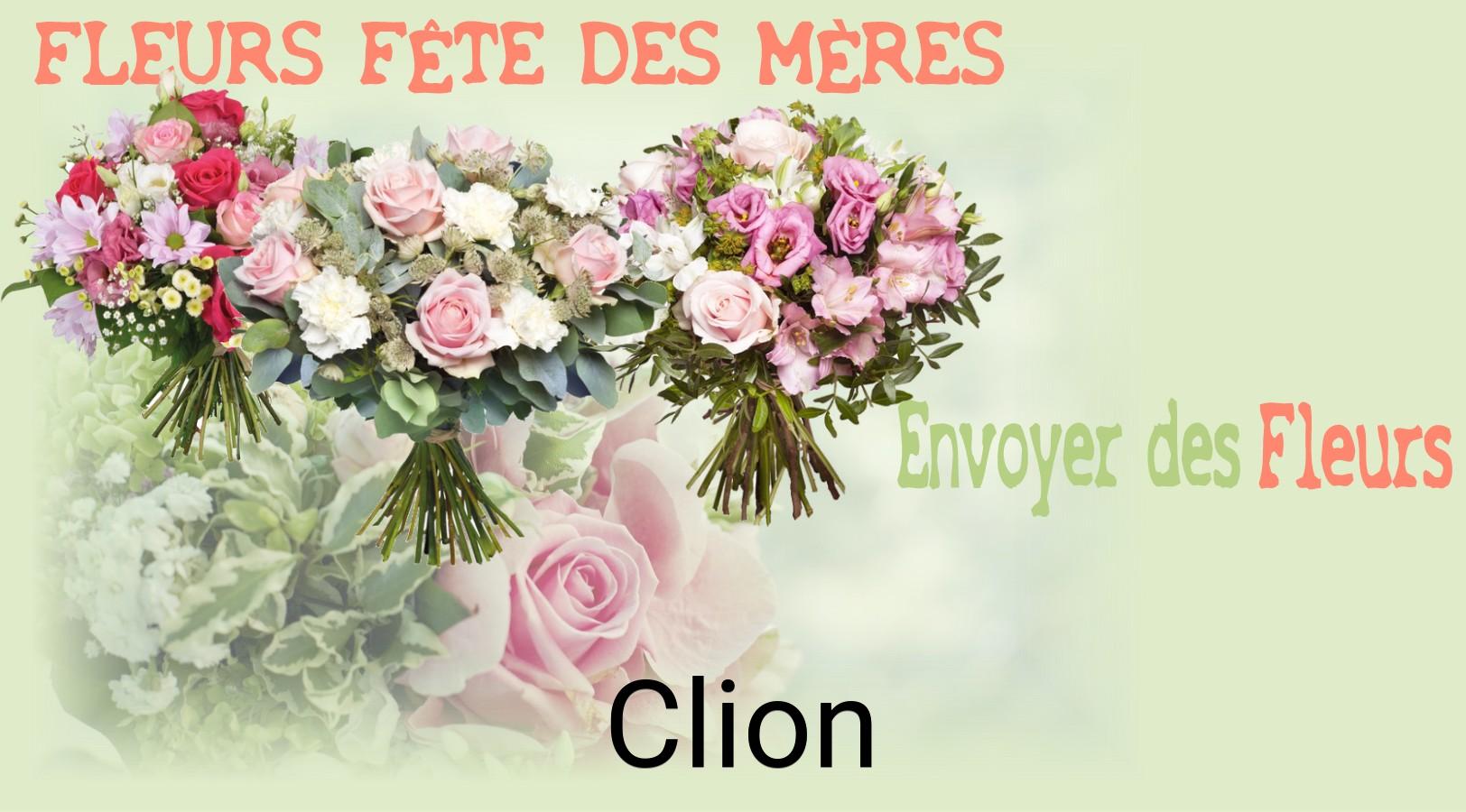Bouquet de Fête des Mères livré à Clion